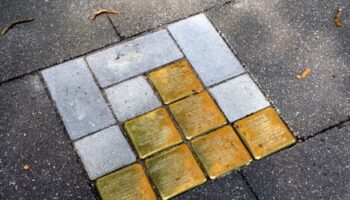 Zeitz in Sachsen-Anhalt: Unbekannte reißen Stolpersteine heraus