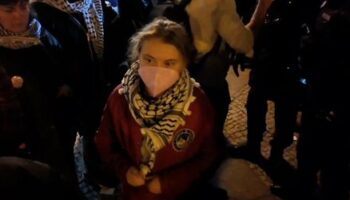 Berlin: Antiisraelische Proteste, brennende Barrikaden und Greta Thunberg