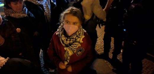 Berlin: Antiisraelische Proteste, brennende Barrikaden und Greta Thunberg