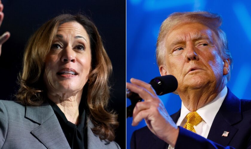 Harris takes slim lead over Trump in new poll as voters view her as candidate of change