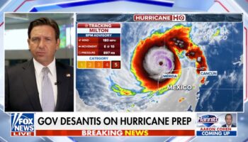 Ron DeSantis says Harris has 'no role' in hurricane response: 'I don't have time for political games'