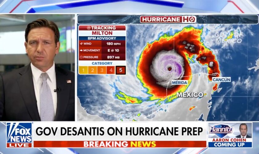 Ron DeSantis says Harris has 'no role' in hurricane response: 'I don't have time for political games'