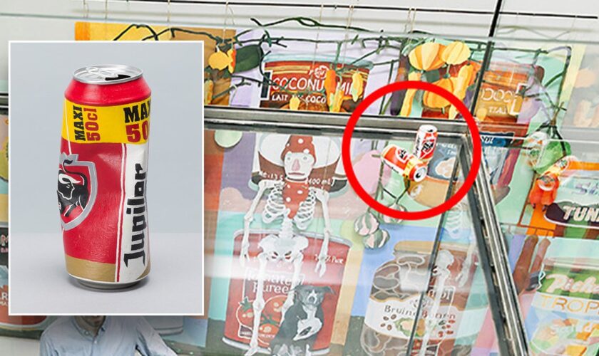 Museum worker mistakes beer can artwork for garbage, tosses in trash