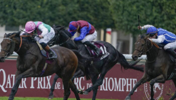 Mort d’un pur-sang en plein prix de l’Arc de Triomphe : «C’est une industrie qui pousse les chevaux à bout»