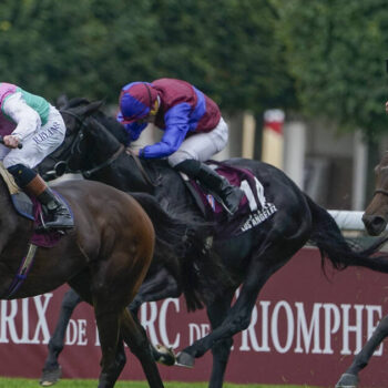 Mort d’un pur-sang en plein prix de l’Arc de Triomphe : «C’est une industrie qui pousse les chevaux à bout»