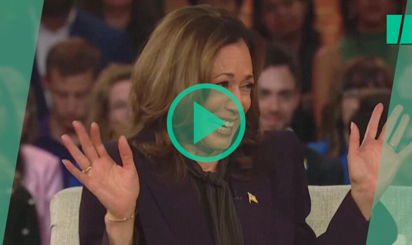 Présidentielle aux États-Unis : comment Kamala Harris a fait de son arme à feu une stratégie de campagne