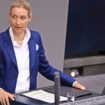 AfD-Führung: Warum Alice Weidel für die Partei so wichtig ist