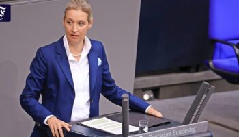 AfD-Führung: Warum Alice Weidel für die Partei so wichtig ist