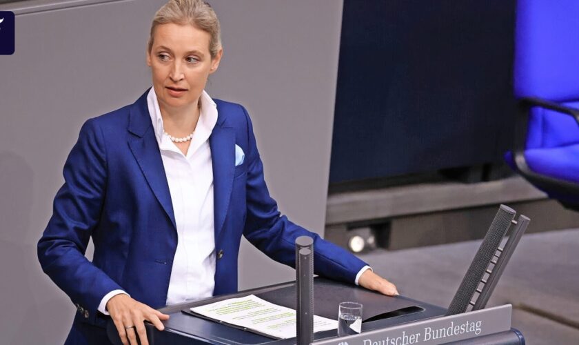 AfD-Führung: Warum Alice Weidel für die Partei so wichtig ist