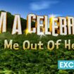 ITV I'm A Celebrity in 'advanced talks' with football legend about jungle stint