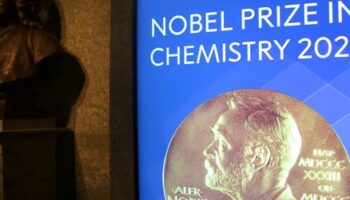 Chemie-Nobelpreis geht an drei Proteinforscher