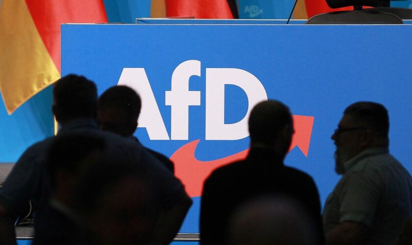 AfD-Verbot: SPD und CDU sprechen sich gegen ein AfD-Verbotsverfahren aus