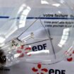 La guerre est déclarée sur le marché de l'électricité, où les concurrents d'EDF, profitant de la forte hausse de ses tarifs réglementés, s'activent pour ravir enfin la clientèle des particuliers à l'électricien national, toujours ultra-dominant six ans après la libéralisation du secteur.