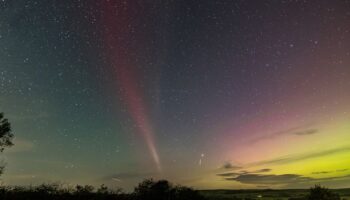 What is the rare Steve phenomenon? Bizarre name for stunning Northern Lights display