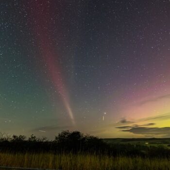 What is the rare Steve phenomenon? Bizarre name for stunning Northern Lights display