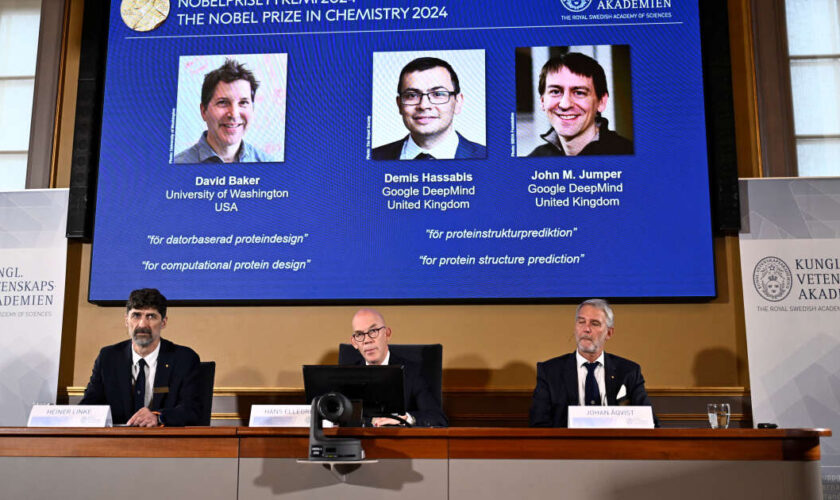 Le prix Nobel de chimie 2024 met en lumière l’importance de la structure 3D des protéines