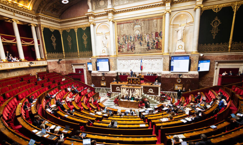 L’Assemblée relance ses commissions d’enquête sur les violences dans le cinéma et la protection de l’enfance