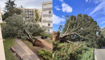 Tempête Kirk : les images des arbres déracinés et des inondations, de Lyon à l’ouest de la France