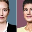 Und dann schleudert Wagenknecht Weidel entgegen: „Ehrlich gesagt: Da wird mir übel“