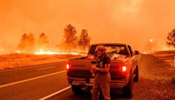 Un habitant évacue alors qu'un incendie s'est déclaré près du Paynes Creek, en Californie, en juillet 2024.