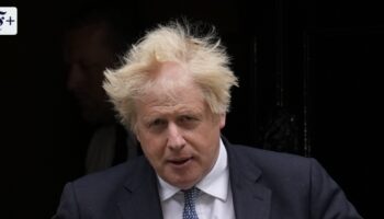 Autobiographie von Boris Johnson: Ansichten eines Clowns