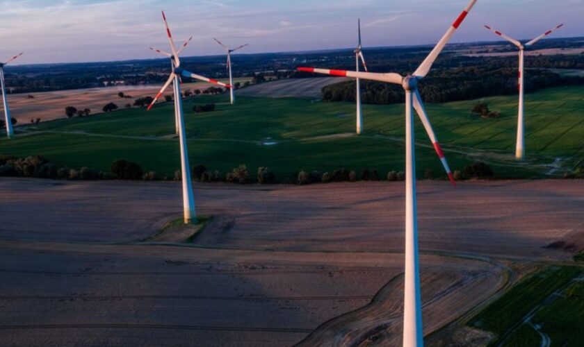 In Greifswald wollen Branchen- und Behördenvertreter über Hürden beim Ausbau der Windkraft in MV sprechen. Foto: Jens Büttner/dp