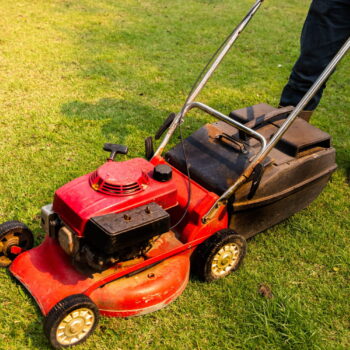 Il y a un moment précis où il faut arrêter de tondre sa pelouse avant l'hiver - les jardiniers sont formels