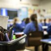 Schools with falling pupil numbers could run mixed-age classes to save money