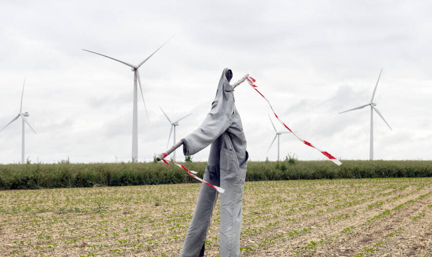 Cédric Carles, le plein d’énergie pour plus de sobriété