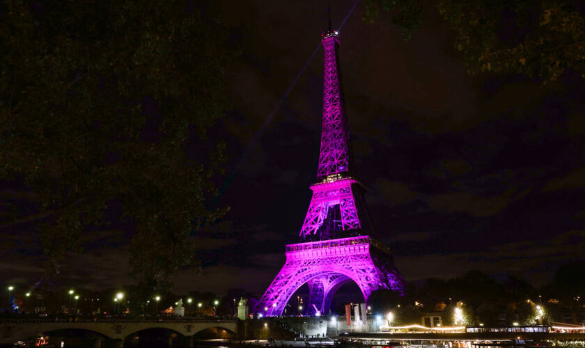 « La France est le pays européen qui compte le plus de cancers du sein. Nous devons comprendre pourquoi »