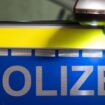 Ein aufmerksamer Passant hat an einer Bushaltestelle in Kenn eine Königspython entdeckt und der Polizei übergeben. (Symbolbild)