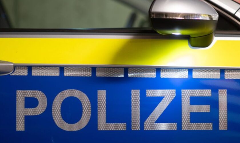 Ein aufmerksamer Passant hat an einer Bushaltestelle in Kenn eine Königspython entdeckt und der Polizei übergeben. (Symbolbild)