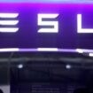 Tesla: Vier Tote bei Autobrand in Frankreich