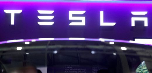 Tesla: Vier Tote bei Autobrand in Frankreich