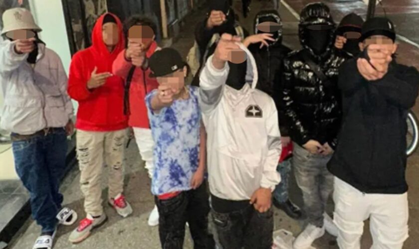 Juvenile illegal immigrant gang members behind robbery spree stay out of jail due to age