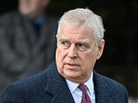 FBI probe into Prince Andrew's friendship with paedophile Jeffrey Epstein 'has been parked', insiders claim