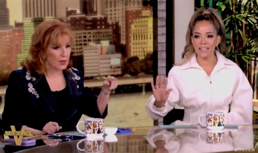 'The View' co-host says Harris 'has a problem with men,' fellow hosts say 'they have a problem with her'