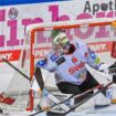 Torhüter Maximilian Franzreb (M) und Co. gelingt in der Königsklasse der Einzug in die nächste Runde. Foto: Armin Weigel/dpa