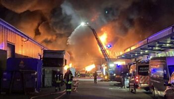 Großbrand in Frankfurt – Lagerhalle steht komplett in Flammen