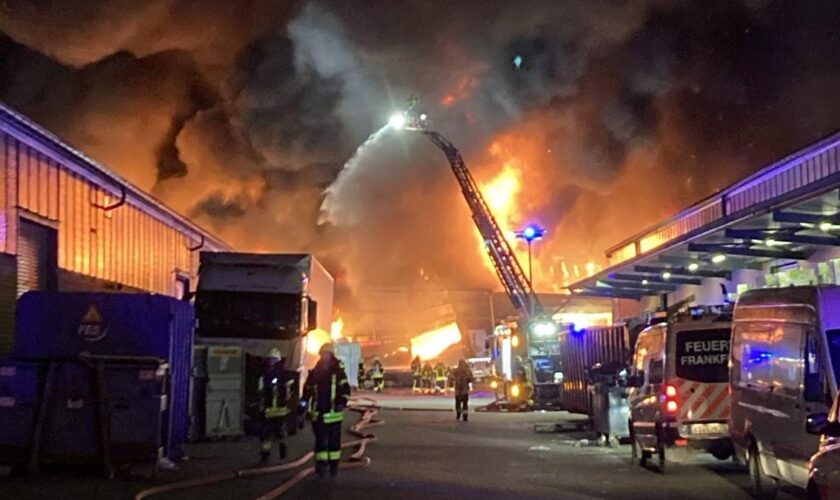 Großbrand in Frankfurt – Lagerhalle steht komplett in Flammen