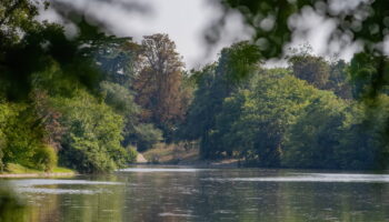 Tentative de viol dans le bois de Boulogne : le récit glaçant de l'agression