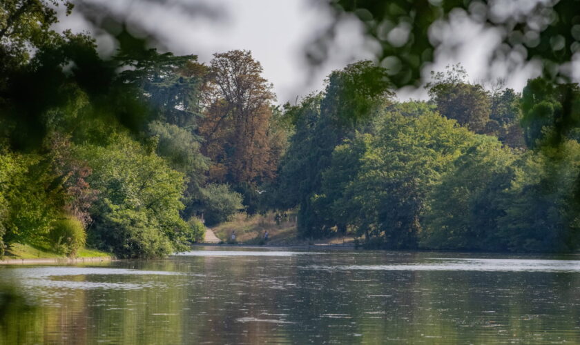 Tentative de viol dans le bois de Boulogne : le récit glaçant de l'agression