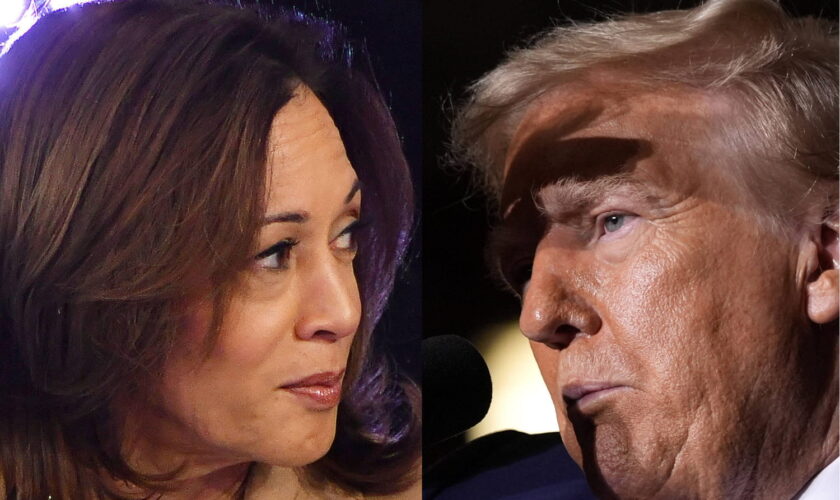 Trump ou Harris ? Les Français ont une préférence pour l'élection américaine, l'avis des jeunes détonne