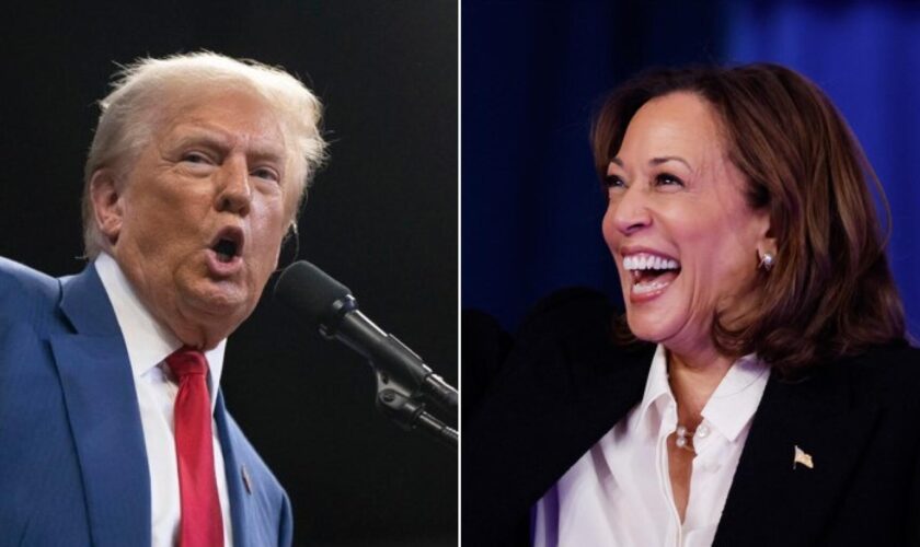 Donald Trump ou Kamala Harris, où est la dynamique à trois semaines de la présidentielle américaine ?