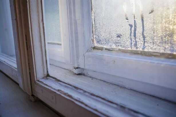 Banish condensation with kitchen staple - as woman finds it 'really works'