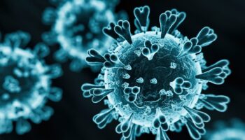 Covid XEC: What are the symptoms of new virus strain?