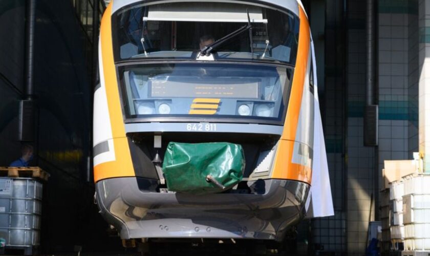 Eine erste Bahnstrecke kann wieder befahren werden. (Symbolbild) Foto: Sebastian Kahnert/dpa-Zentralbild/dpa