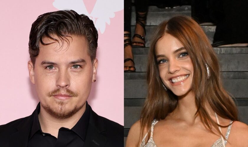 Dylan Sprouse supports Barbara Palvin at Victoria’s Secret Fashion Show with cardboard cutouts of their pets