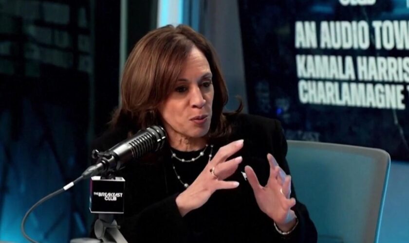 Angriff im Radiointerview: "Er ist schwach" – Kamala Harris kritisiert Trumps Faszination für Diktatoren