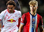 20 best Scandinavian superstars your club should sign: The hidden gems catching Premier League eyes and which clubs are the perfect fits